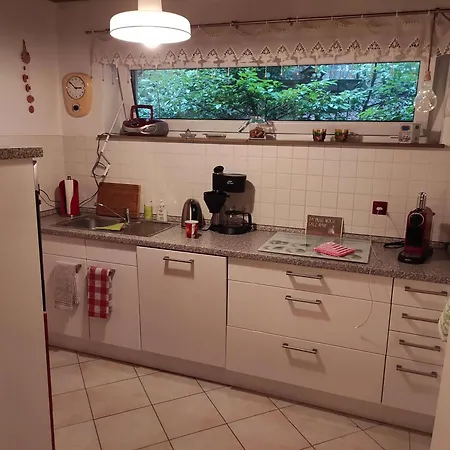 Waldkauz * Braunlage