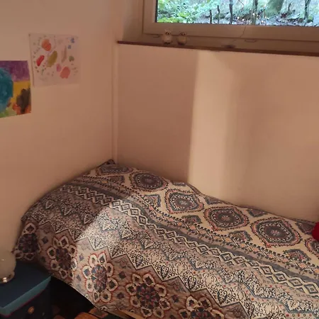 Waldkauz Appartement Braunlage