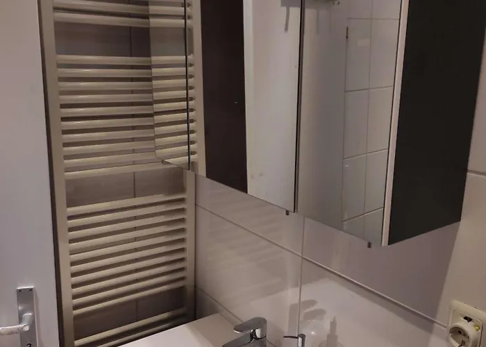 Waldkauz * 布劳恩拉格