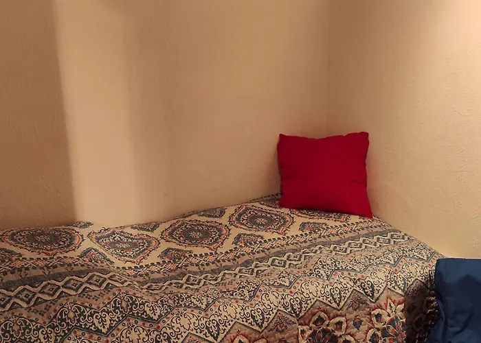 Waldkauz 布劳恩拉格