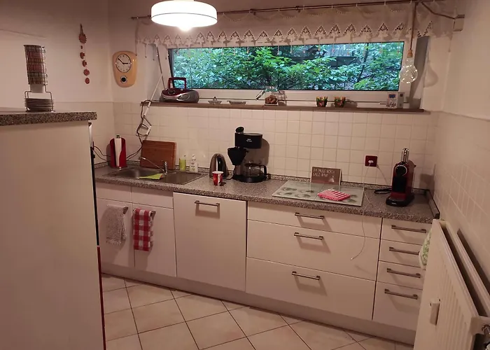 Waldkauz * 布劳恩拉格